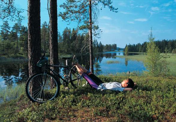 Lauhøgda in Vestre Toten