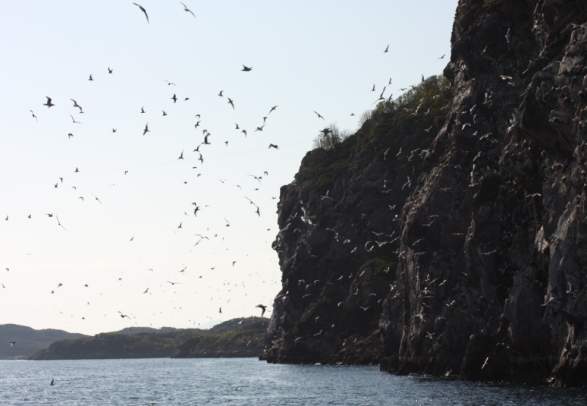 Viking Chieftain Tore Hunds Empire