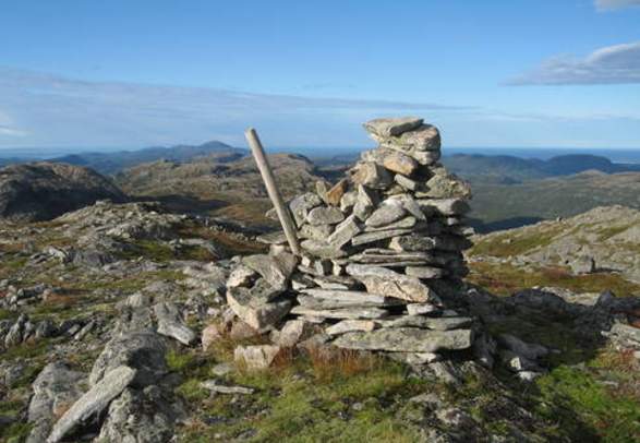 Seksortklumpen OPP24