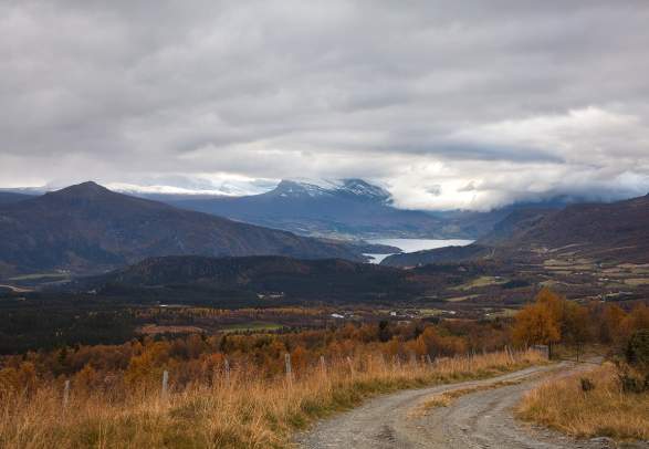 Dalsbrua - Øygardsstølen - Dalsbrua (12 km - easy)