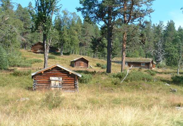 Gutulia National Park