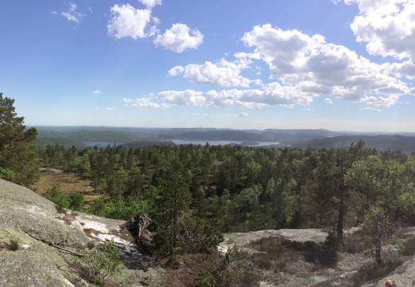 Grønfjell hiking trail