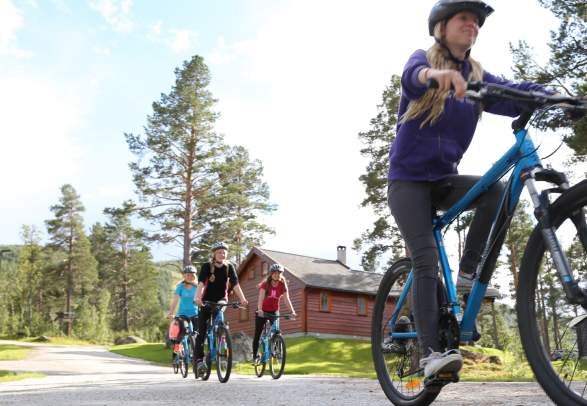 Geilo Bike Rental