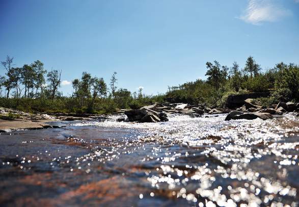Børtemannsbekken - round trip 10 km