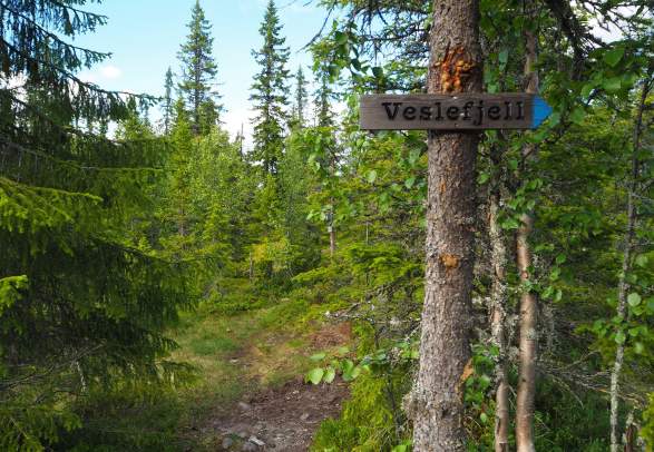 Veslefjell