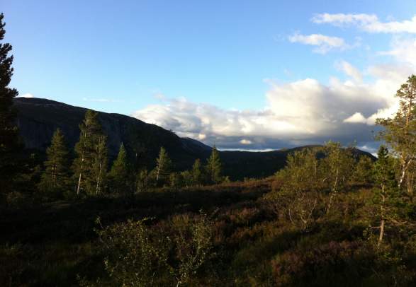 Uvedalsfjell 5-7 km