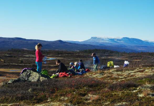 Rødungshovda Ål in Hallingdal