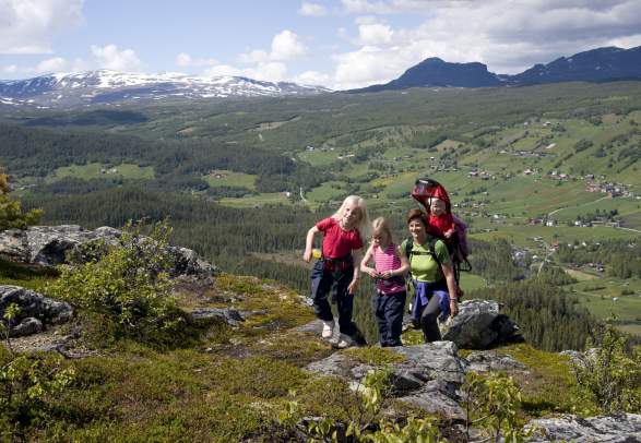 Haugsnatten Ål in Hallingdal