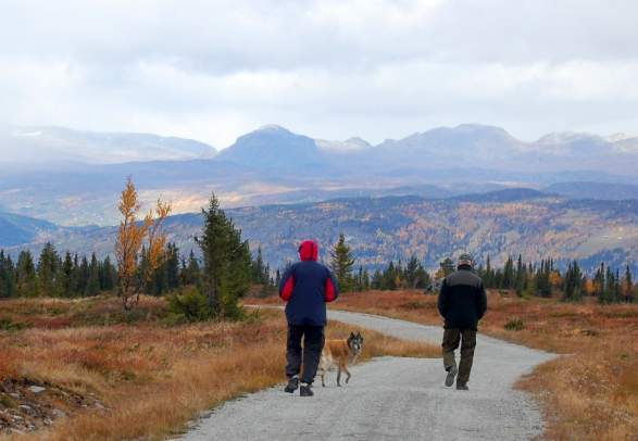 Fietstocht Veståsen/Sangefjell Ål in Hallingdal