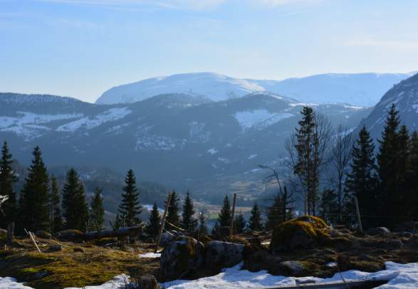 Neire Lauvåsen - round trip 2,3 km