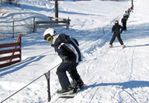 Aasgjerdet Alpine and toboggan run