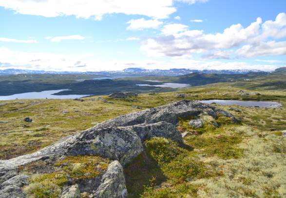 Rødungsberget Ål in Hallingdal