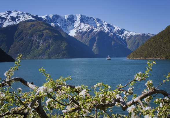Nærøyfjord / Sognefjord