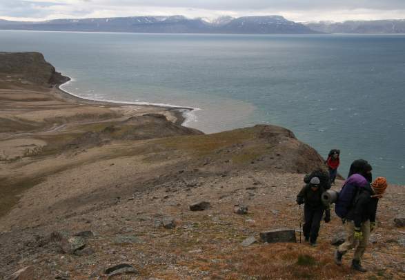 Hiking trip Isfjord Trek - Poli Arctici