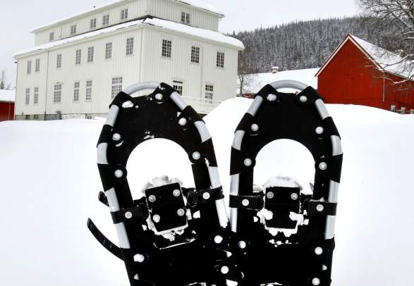 Snowshoeing at Mokk Farm