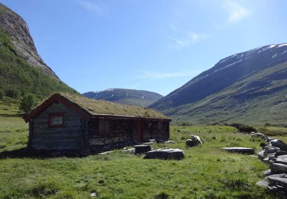 Dovrefjell-Sunndalsfjella National Park