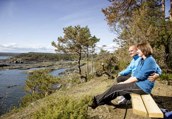 The Coastal Path - Bamble