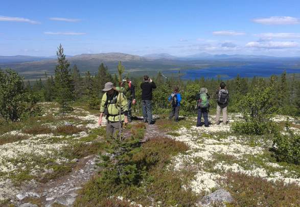 SEMAINES PÈRES FILS