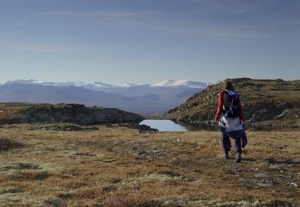 The top trail - Skeikampen