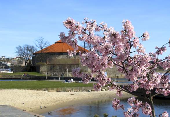 City walk in Kristiansand
