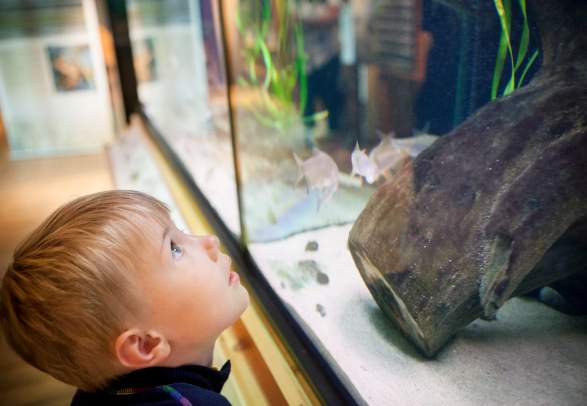 MiA - Museene i Akershus