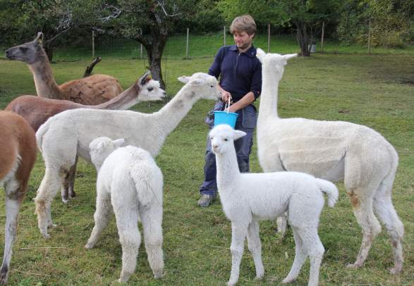 Bergvang visitor farm