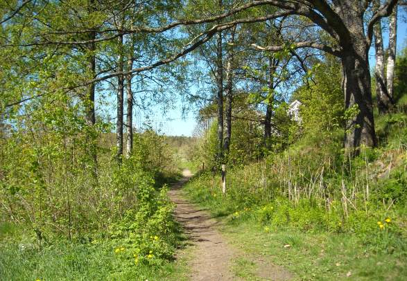 Recommended walks in Grimstad