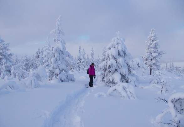 SEMAINE DECOUVERTE DE l’HIVER NORVÉGIEN
