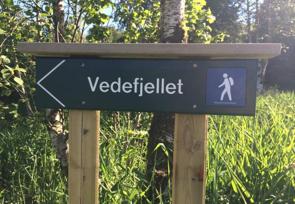 Hiking Vedefjell in Lyngdal