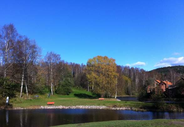 Frysja / Brekkedammen