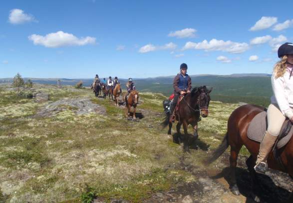 Riding - Savalen Hestesenter