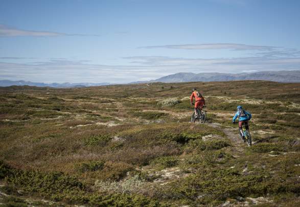 Afdaling Ål in Hallingdal
