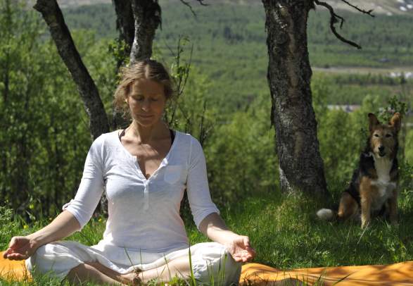 Mountain Mindfulness and Walking | Venabu Fjellhotell