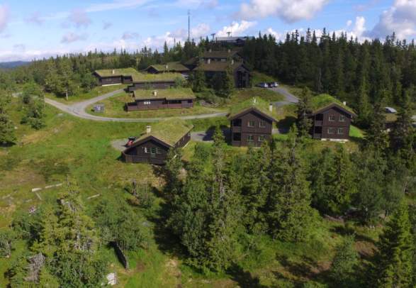 Aurdal Fjellpark Valdres
