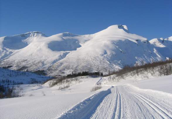 Overøye/Langsætrane
