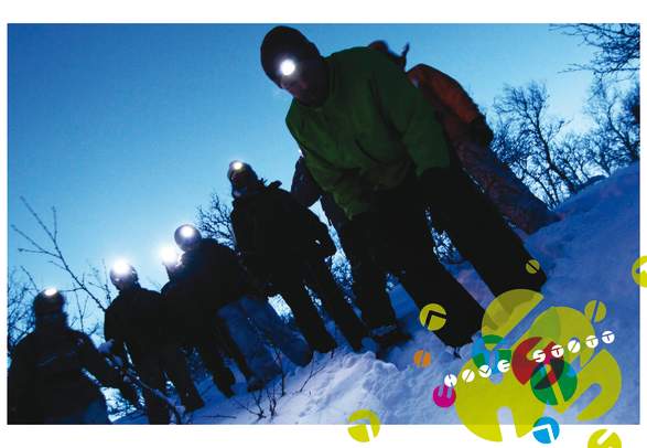 Høve Støtt Hallingdal AS