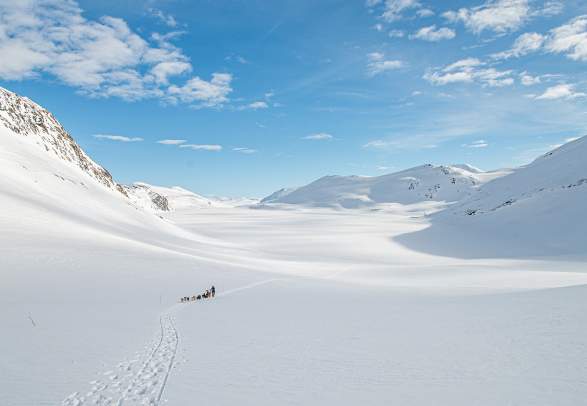 Dog sledding with Beito Husky Tours
