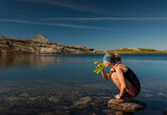 Blåfjella-Skjækerfjella/ Låarte-Skæhkere National Park