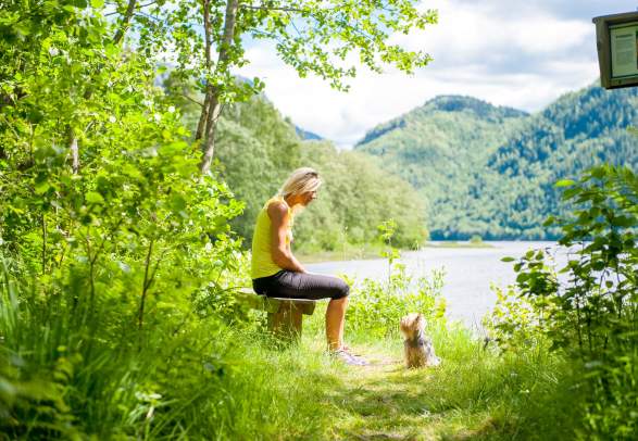 Bufjordstigen in Dalen