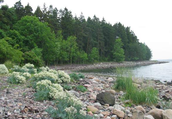 Trailtips: Walking along southern Jeløy peninsula