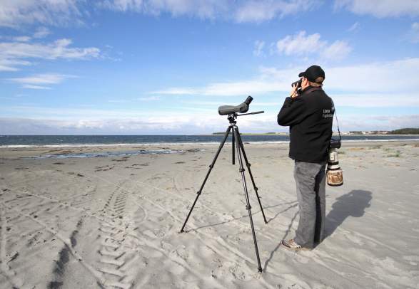 Lista Bird Observatory - Bird watching in Lista