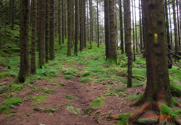 Kongeveien Hiking Tour in Lyngdal