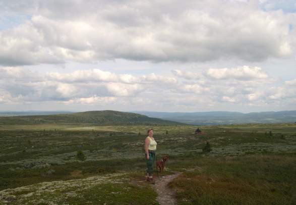 Veslefjell - Hiking on Golsfjellet