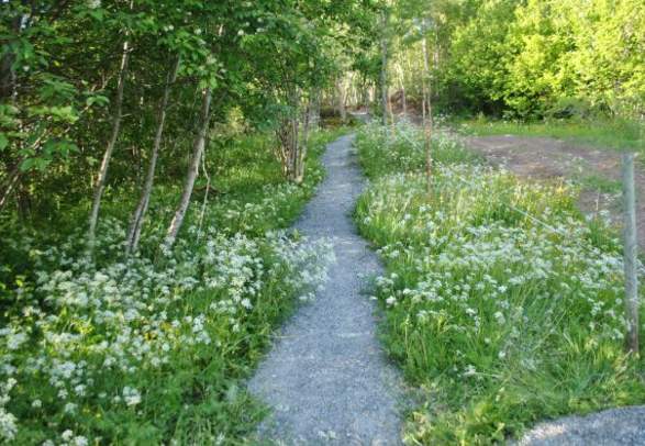 Letnes farm, culture trail