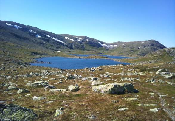 Hellebu - Reinsbotnan Ål in Hallingdal