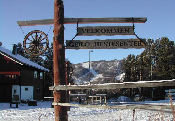 Geilo Hestesenter