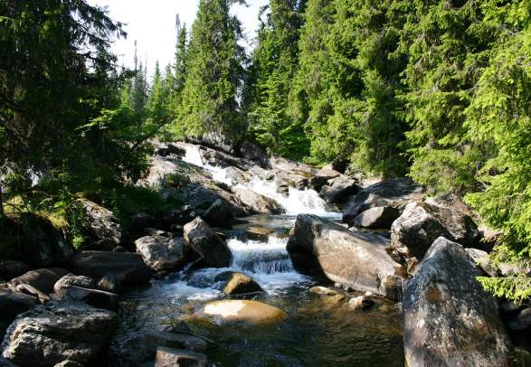 Trail to historic Helgafossen Falls