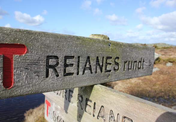 Roundtrip at Reianes