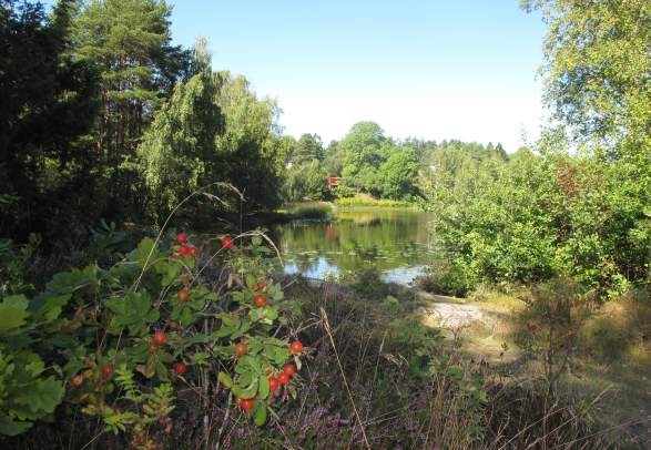 The Pilgrim’s Route 4 Mastemyr-Oslo