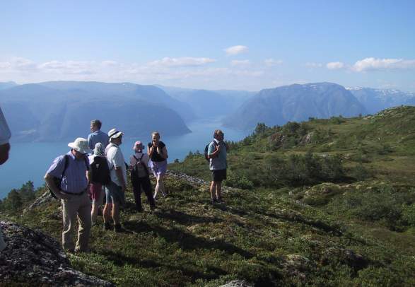 Route 4 Saurdal - Balestrand (via route 9 - 7 Fagradalen - Kreklingen